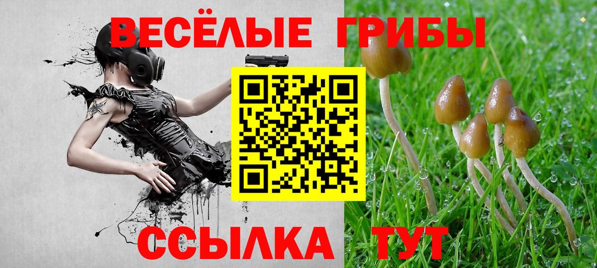 Псилоцибиновые грибы прущие грибы  Псилоцибиновые грибы мицелий  Красноярск  Вход с VPN 